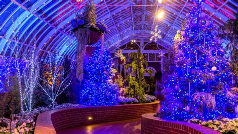 Get in the Holiday Spirit with Phipps Joyful Experience